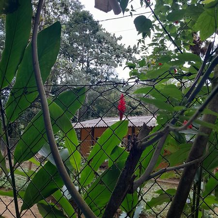 Sitio Das Bromelias Cachoeira Do Tombador Ubatuba Exteriör bild